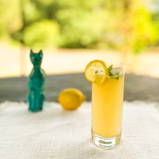 Kombucha