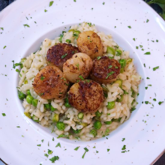 Scallop, Pea, and Asparagus Risotto