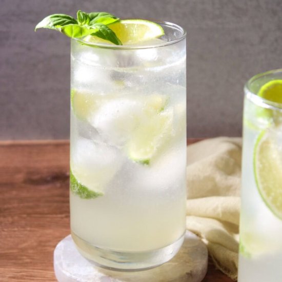 Gin Mojito