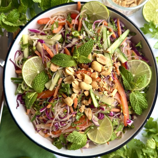 Fresh Spring Roll Noodle Salad