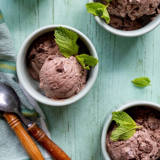 Chocolate Mint Chip Ice Cream