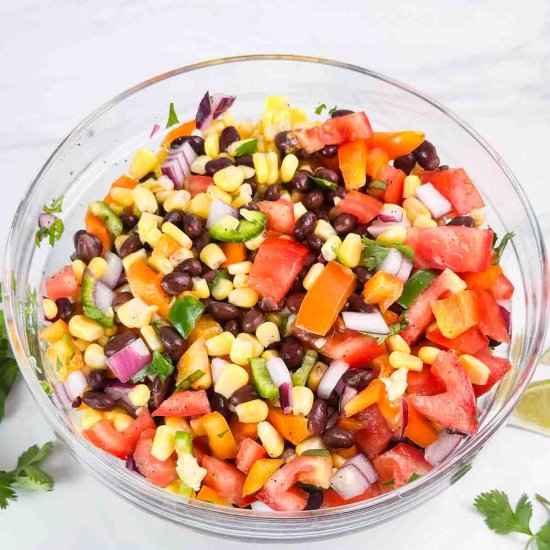 Black Bean and Corn Salsa Dip