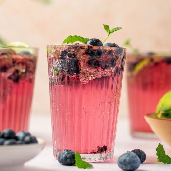 Blueberry Mojito Mocktail