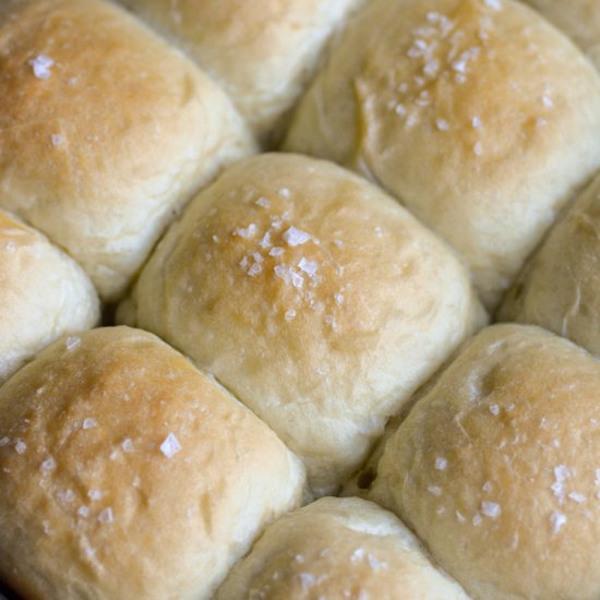 Vegan Dinner Rolls