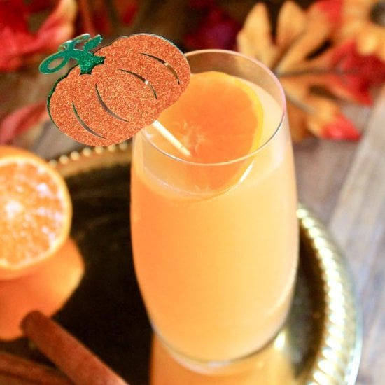 Festive Autumn Harvest Mimosa