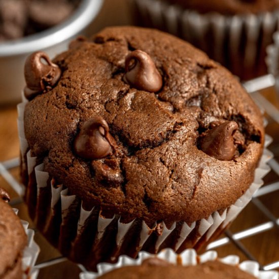 Death by Chocolate Muffins