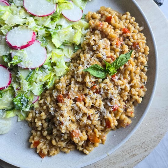Barley Risotto
