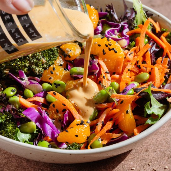 Creamy Sesame Dressing