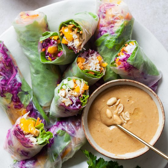 Easy Vegan Summer Rolls