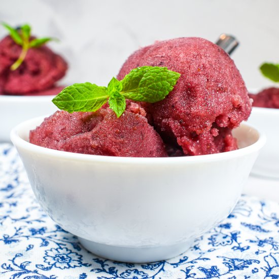 Blueberry Sorbet