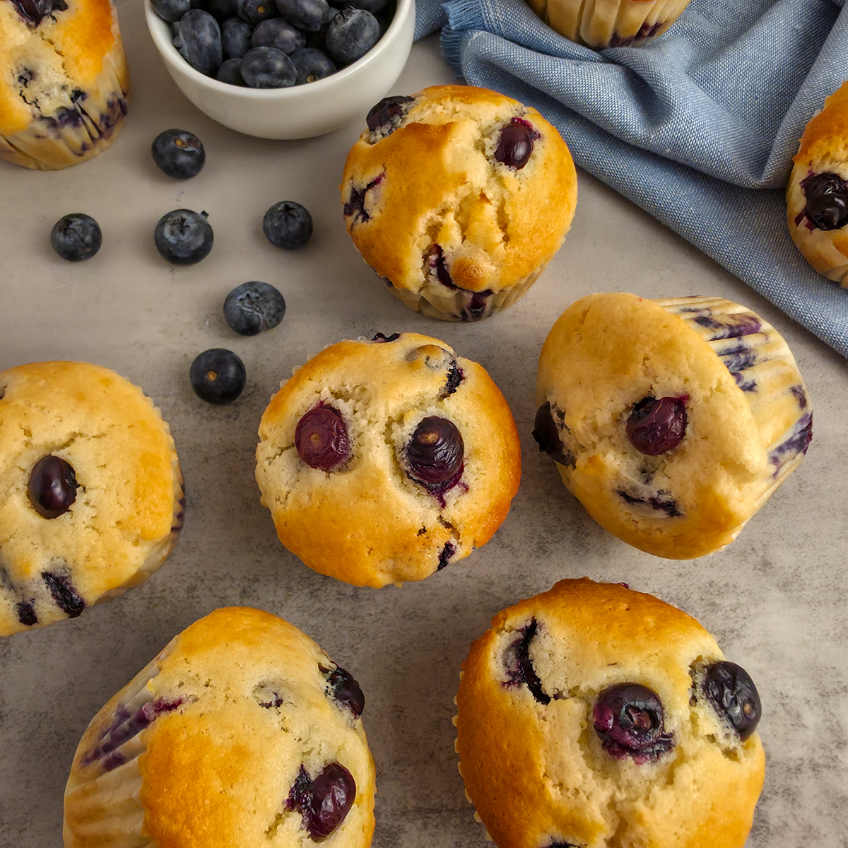 Blueberry Muffins