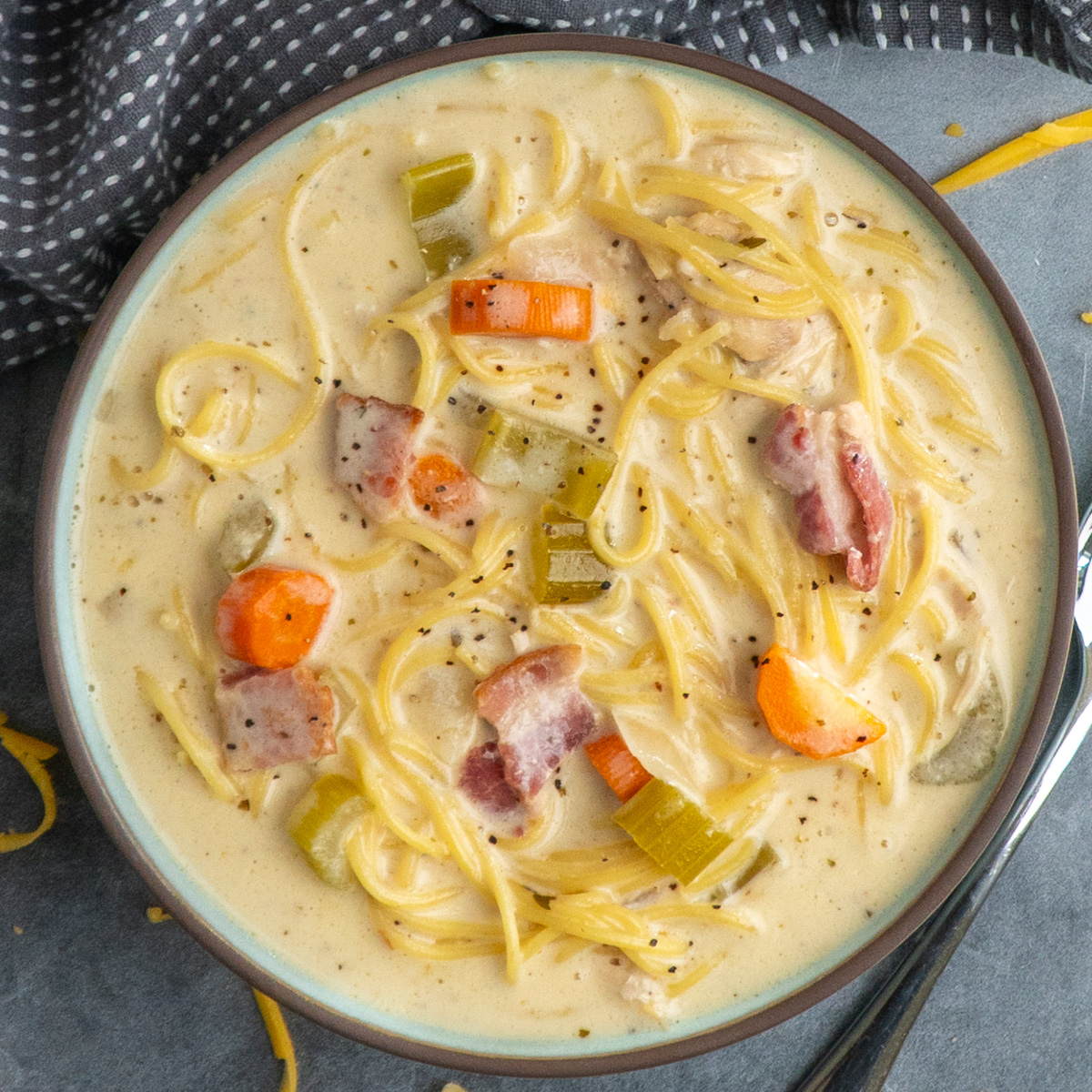 Crock Pot Crack Chicken Noodle Soup