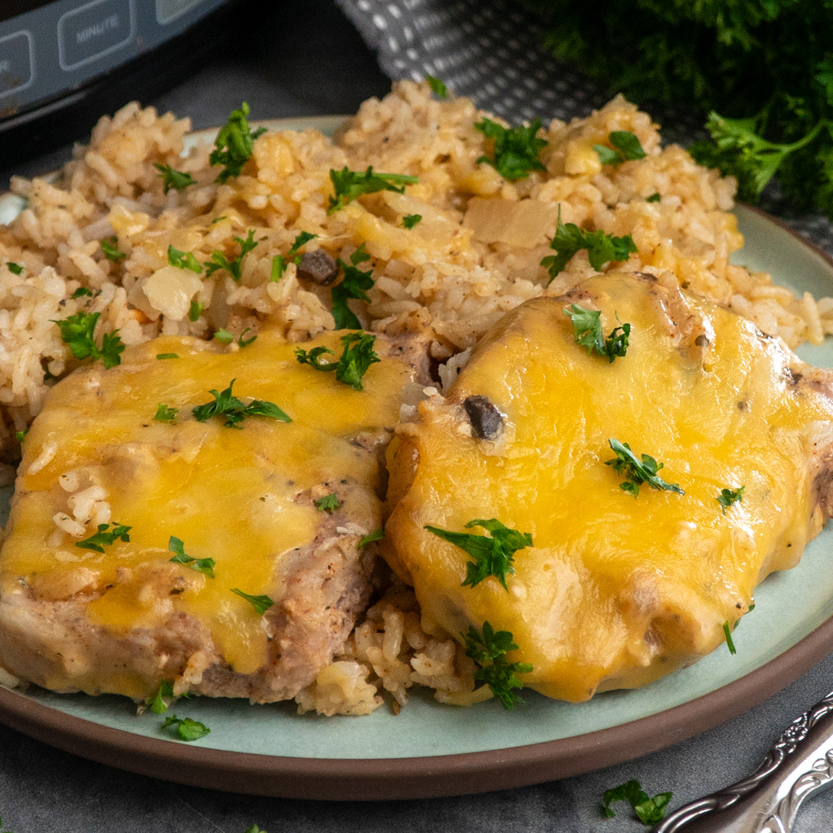 Crock Pot Pork Chops and Rice