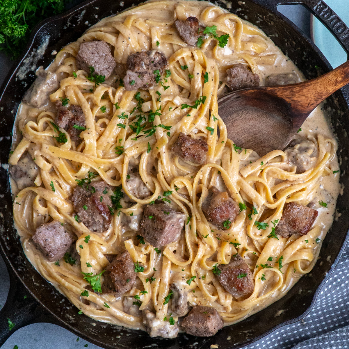 Fettuccine Alfredo with Steak