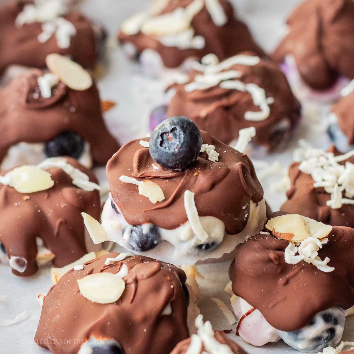 Frozen Blueberries with Yogurt
