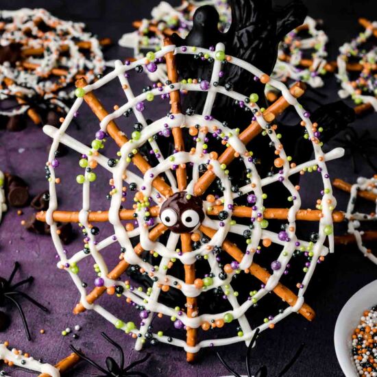 Pretzel Spider Webs