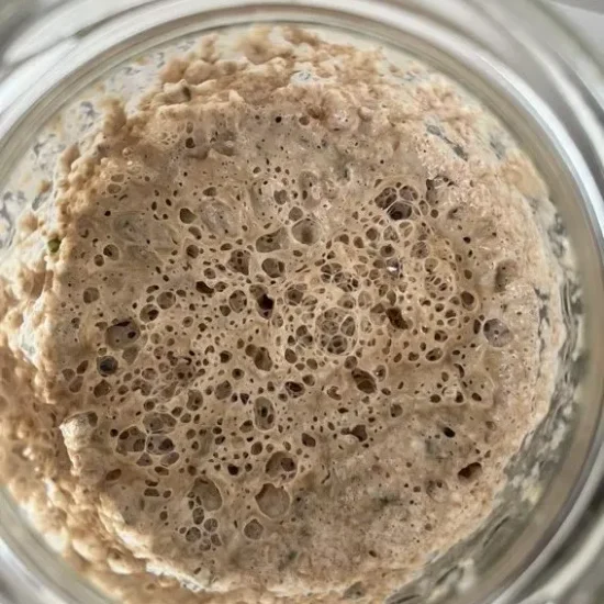 Christian (Greek) Sourdough Starter