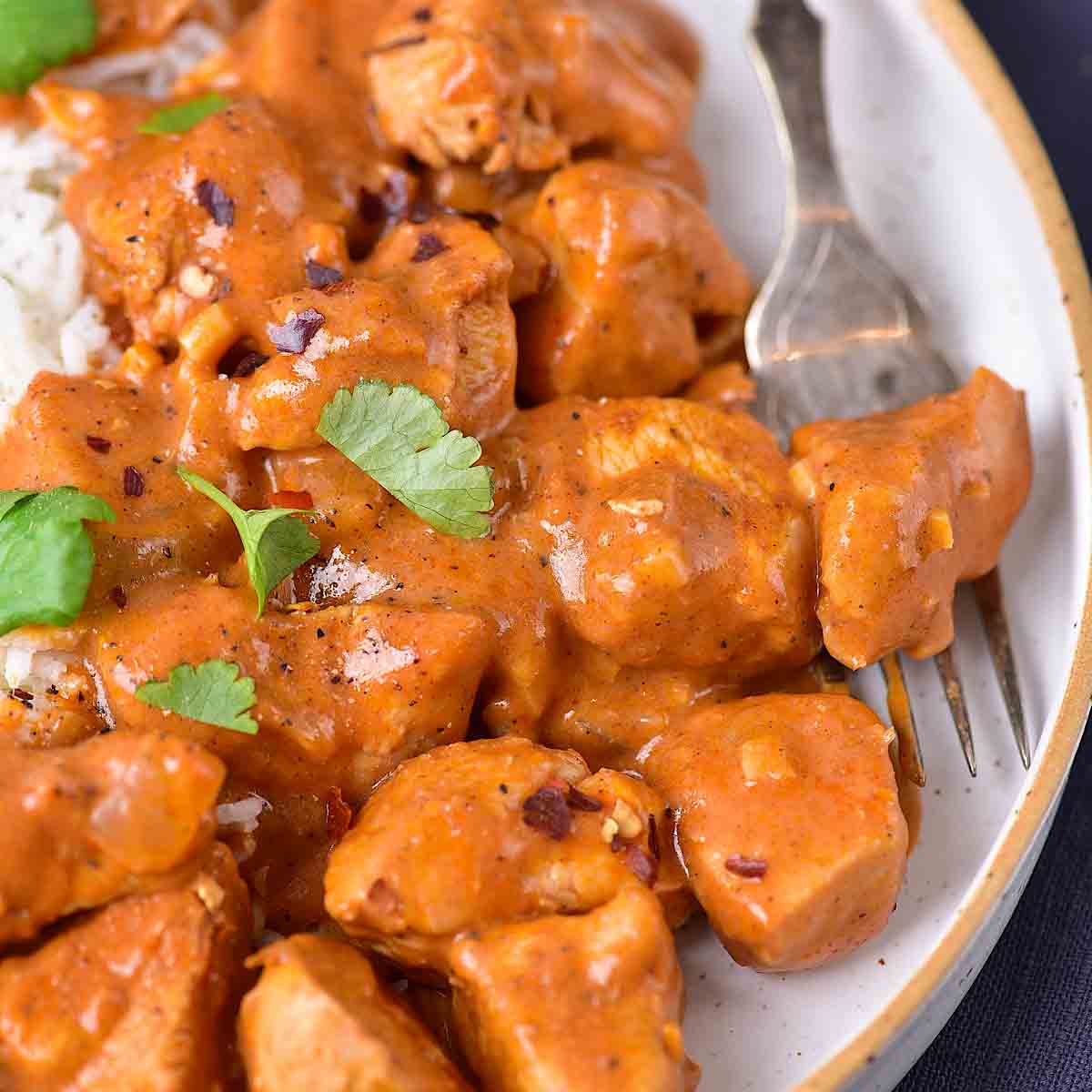 Onion Chicken Curry