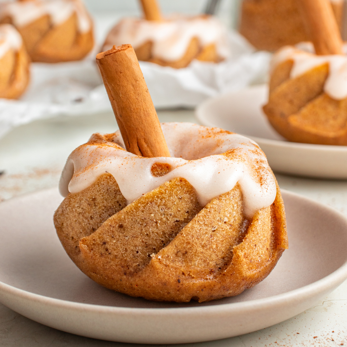 Pumpkin Mini Bundt Cakes