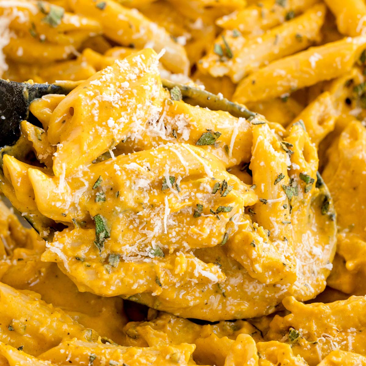 Creamy Pumpkin Pasta