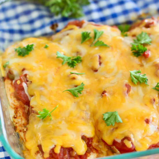 Salsa Chicken