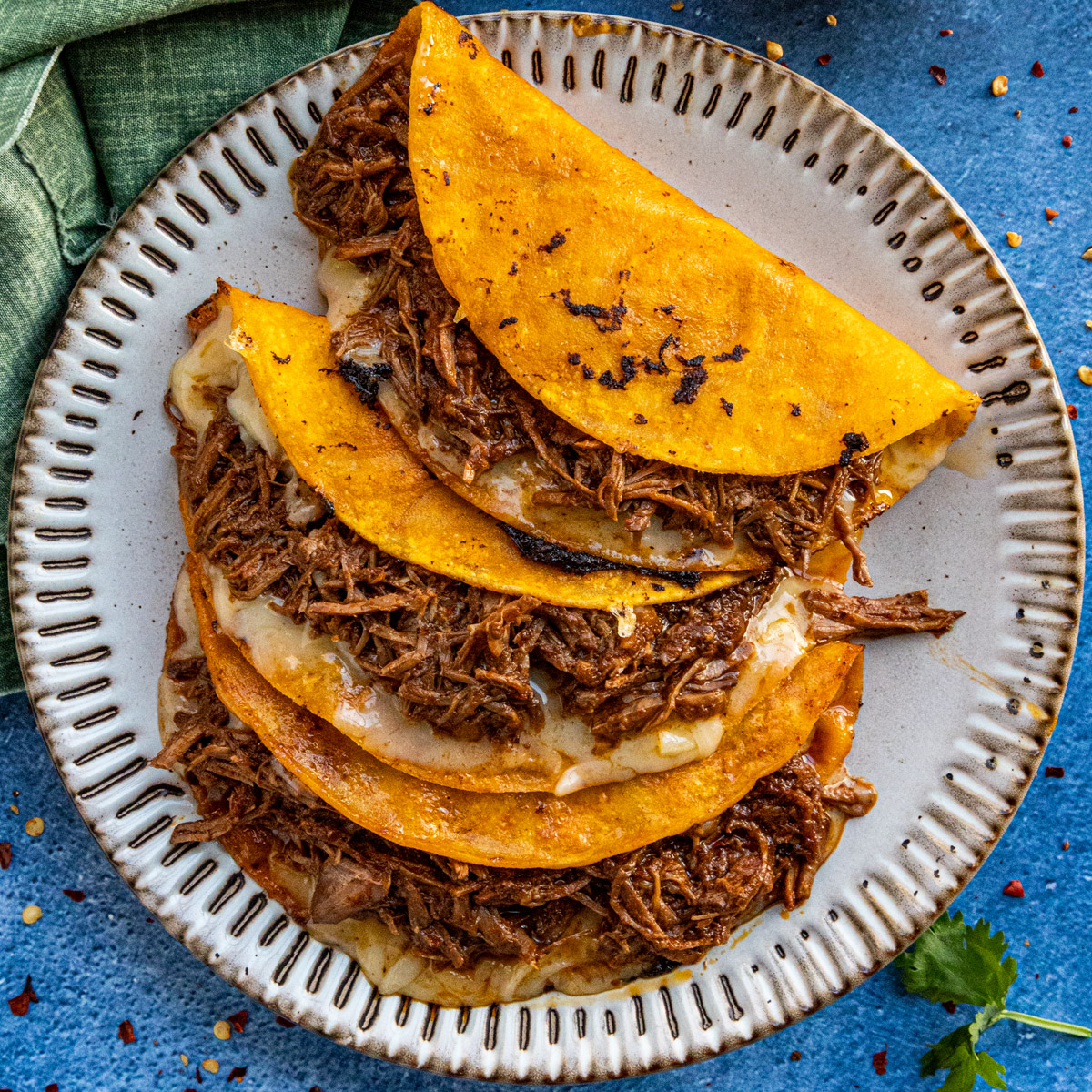 Slow Cooker Mexican Birria