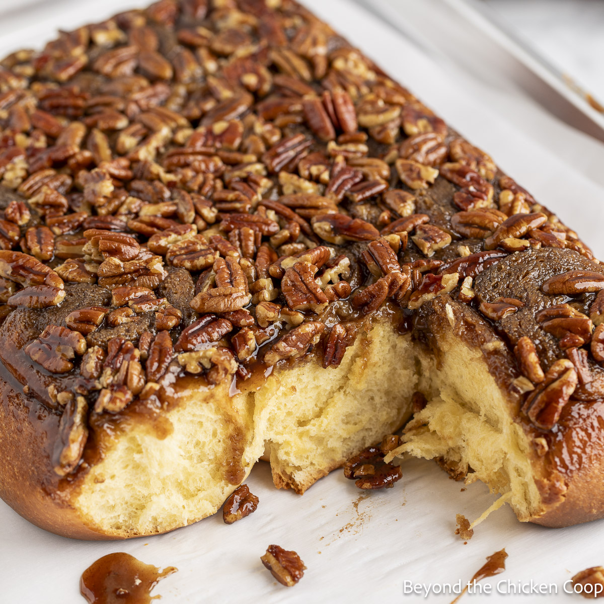 Pecan Sticky Buns