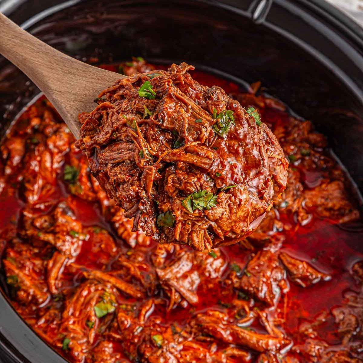 Easy Birria Recipe