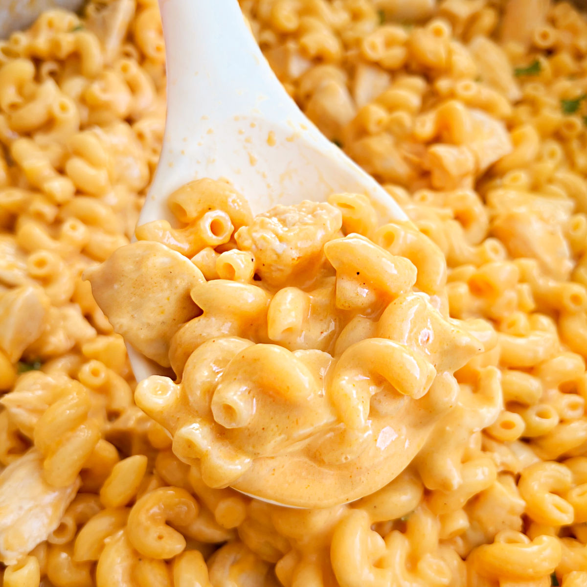 Buffalo Chicken Mac and Cheese