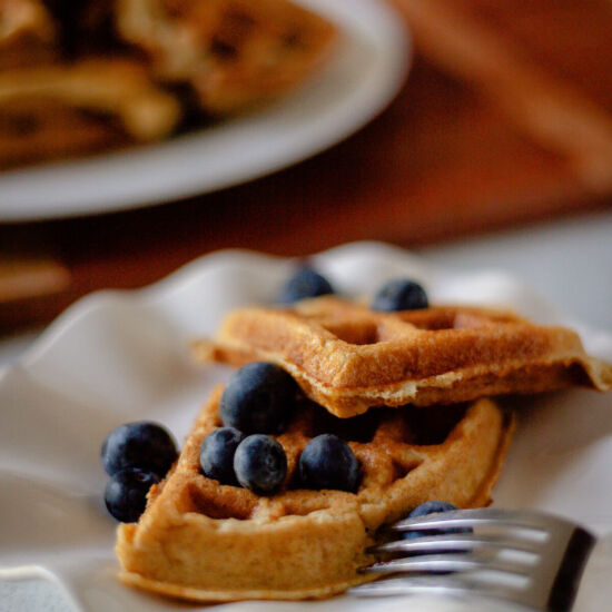Gluten Free Protein Waffles