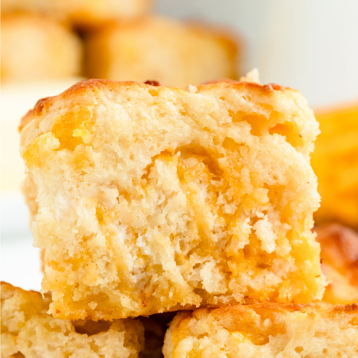 Cheddar Butter Swim Biscuits
