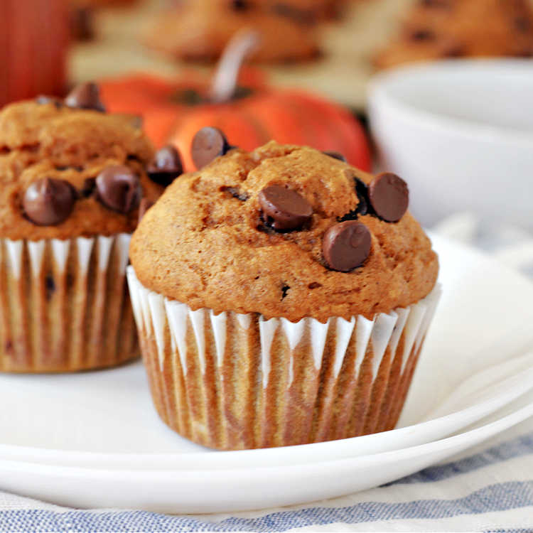Chocolate Chip Pumpkin Muffins