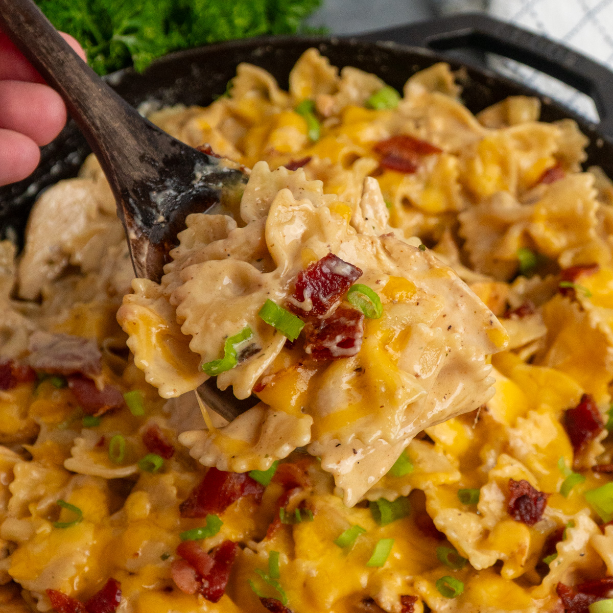Crack Chicken Pasta