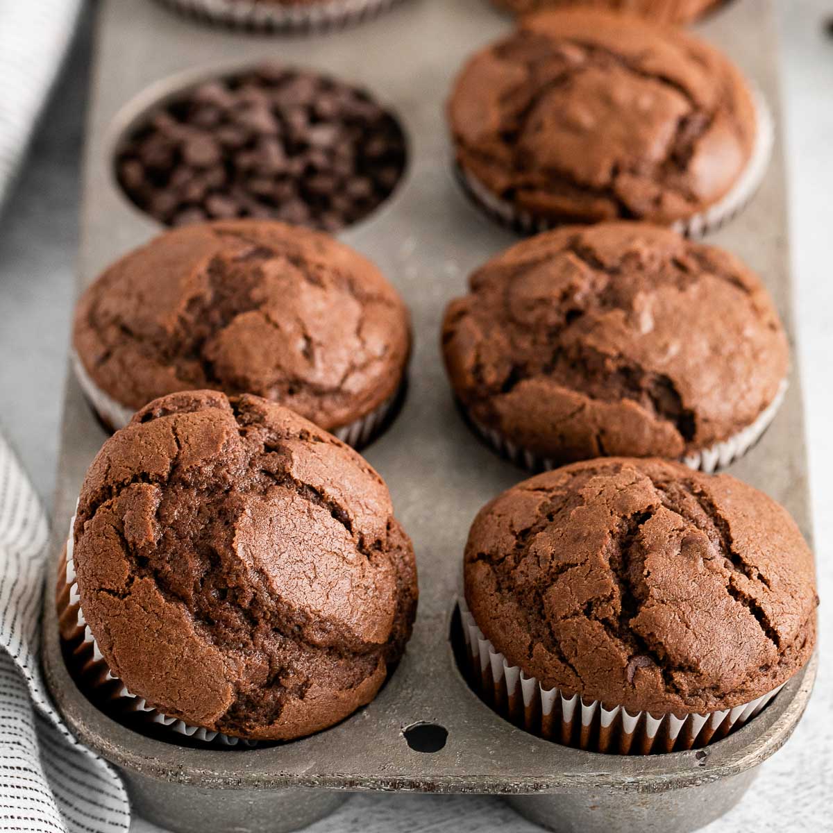 Double Chocolate Muffins