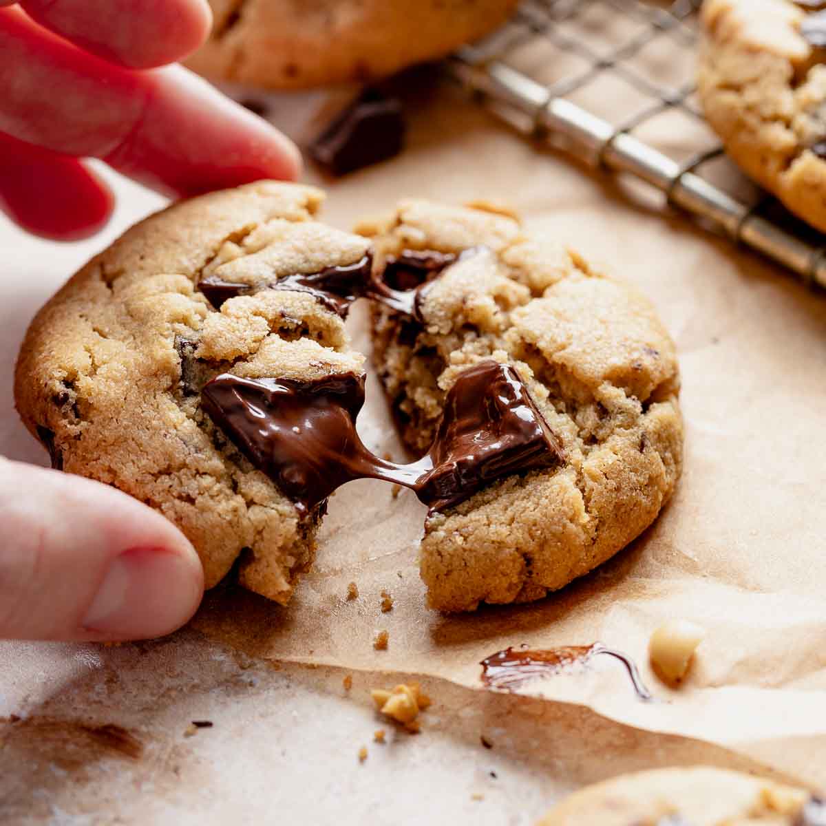 Peanut Butter Chocolate Chip Cookie