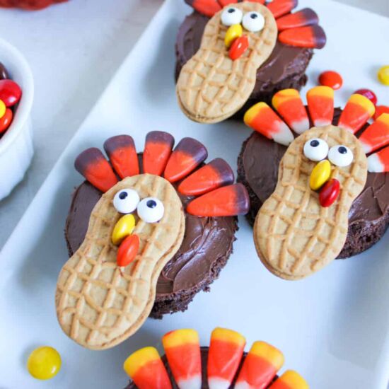 Turkey Brownie Cupcake