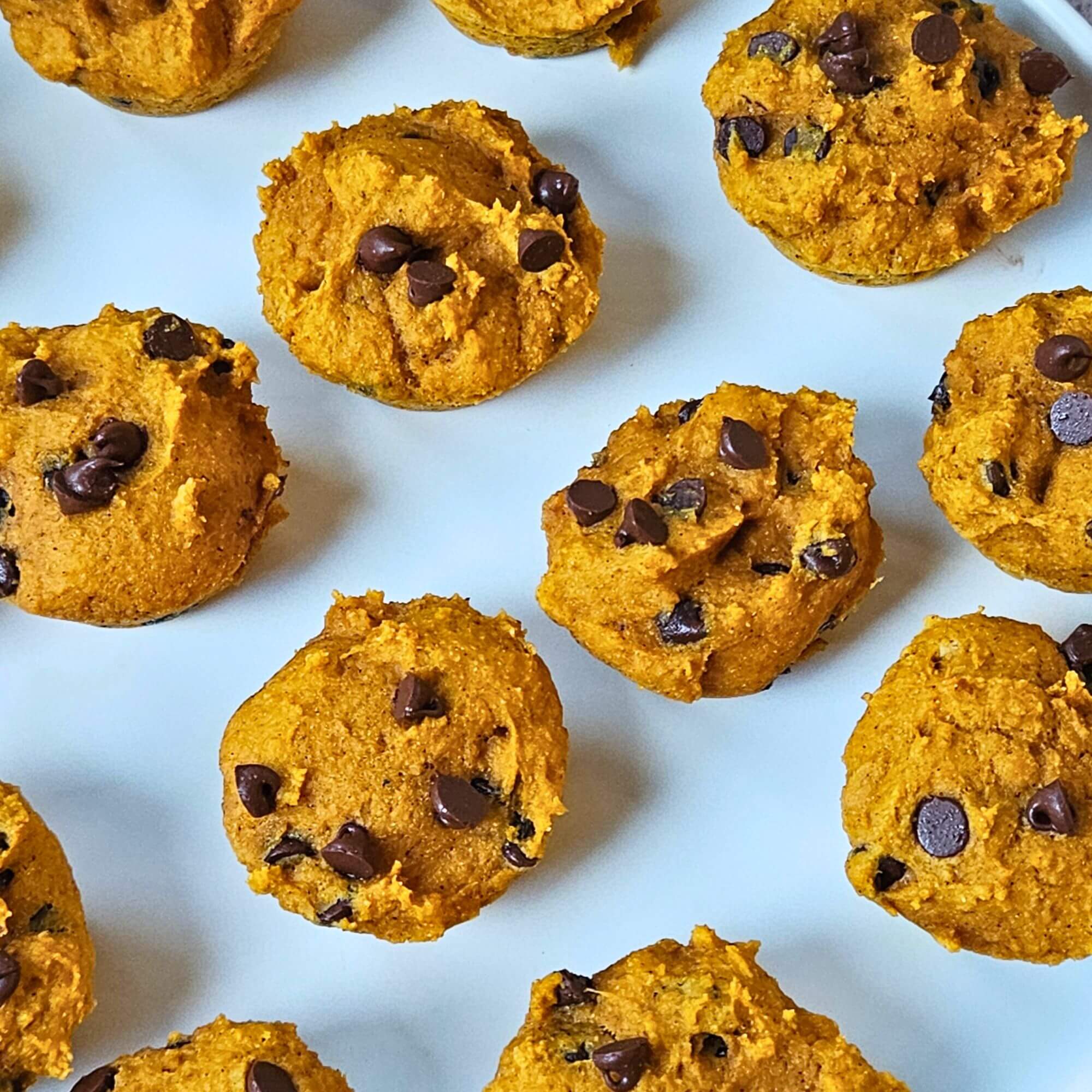 Protein Pumpkin Muffins