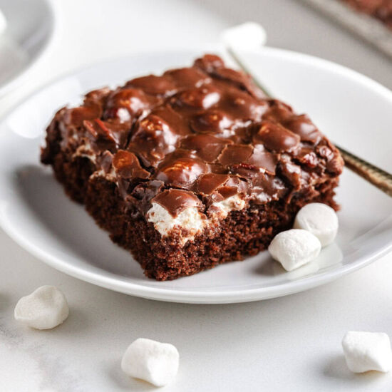 Mississippi Mud Cake