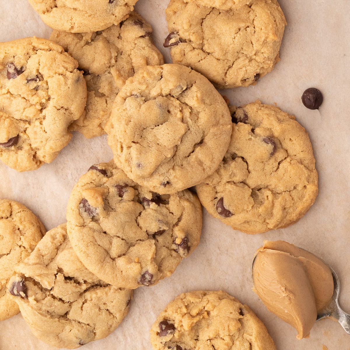 Peanut Butter Chocolate Chip Cookie