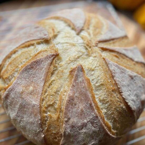 Romanian House Bread (Paine de Casa)
