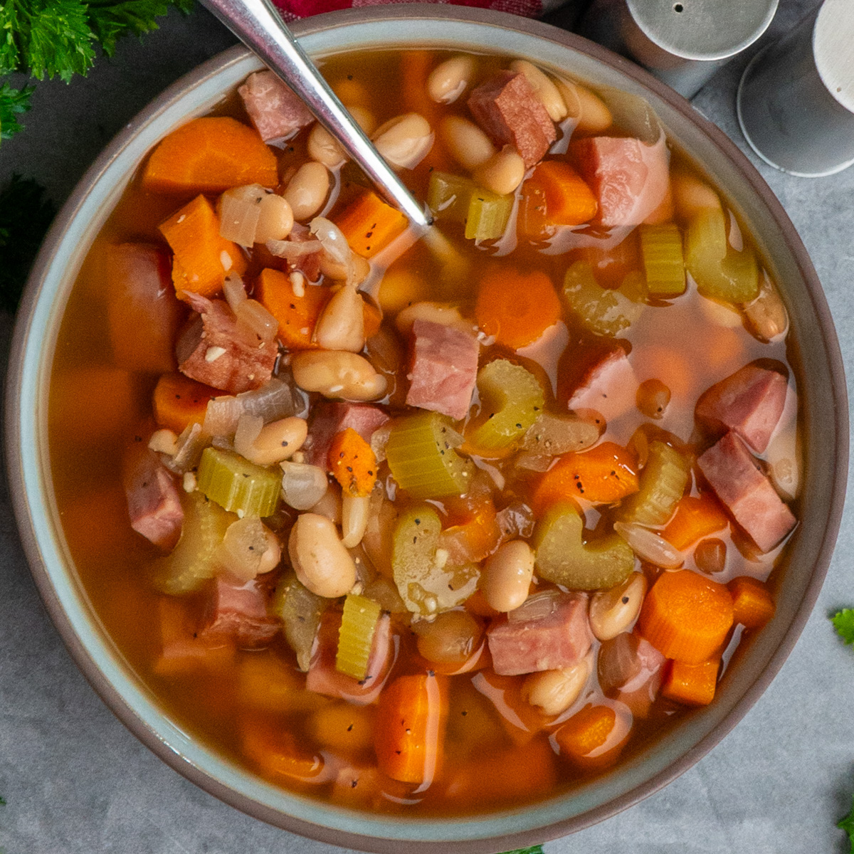 Slow Cooker Ham and Bean Soup