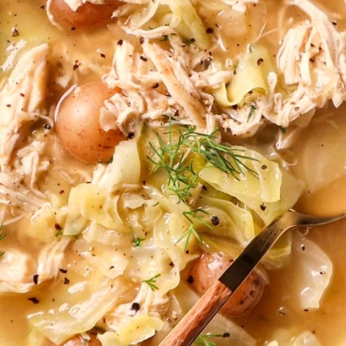 Chicken Cabbage Soup