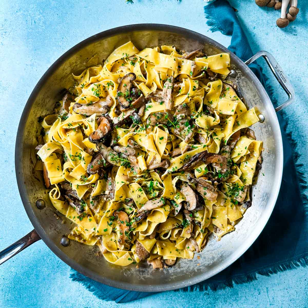 Creamy Wild Mushroom Pappardelle