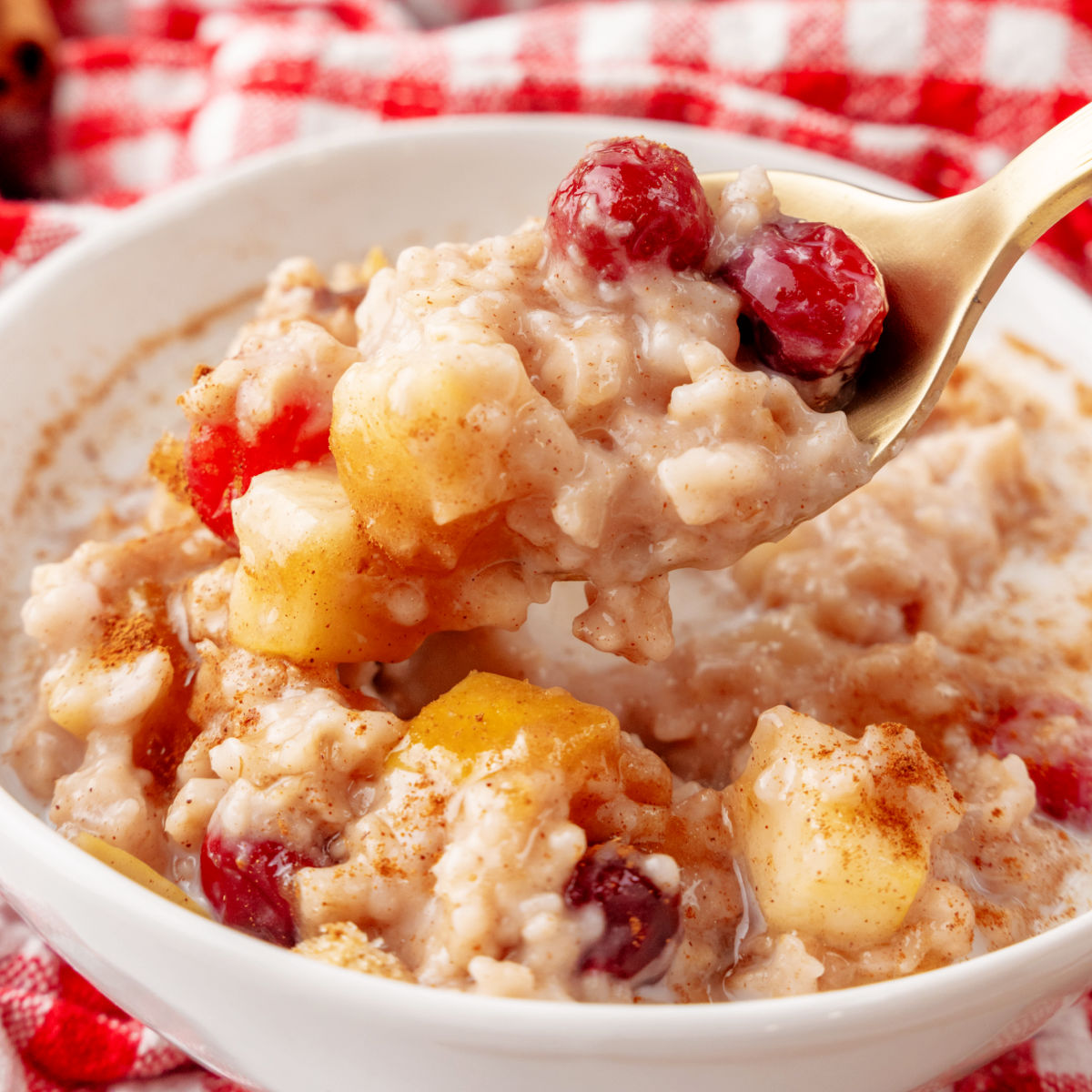 Stovetop Apple Cranberry Oatmeal