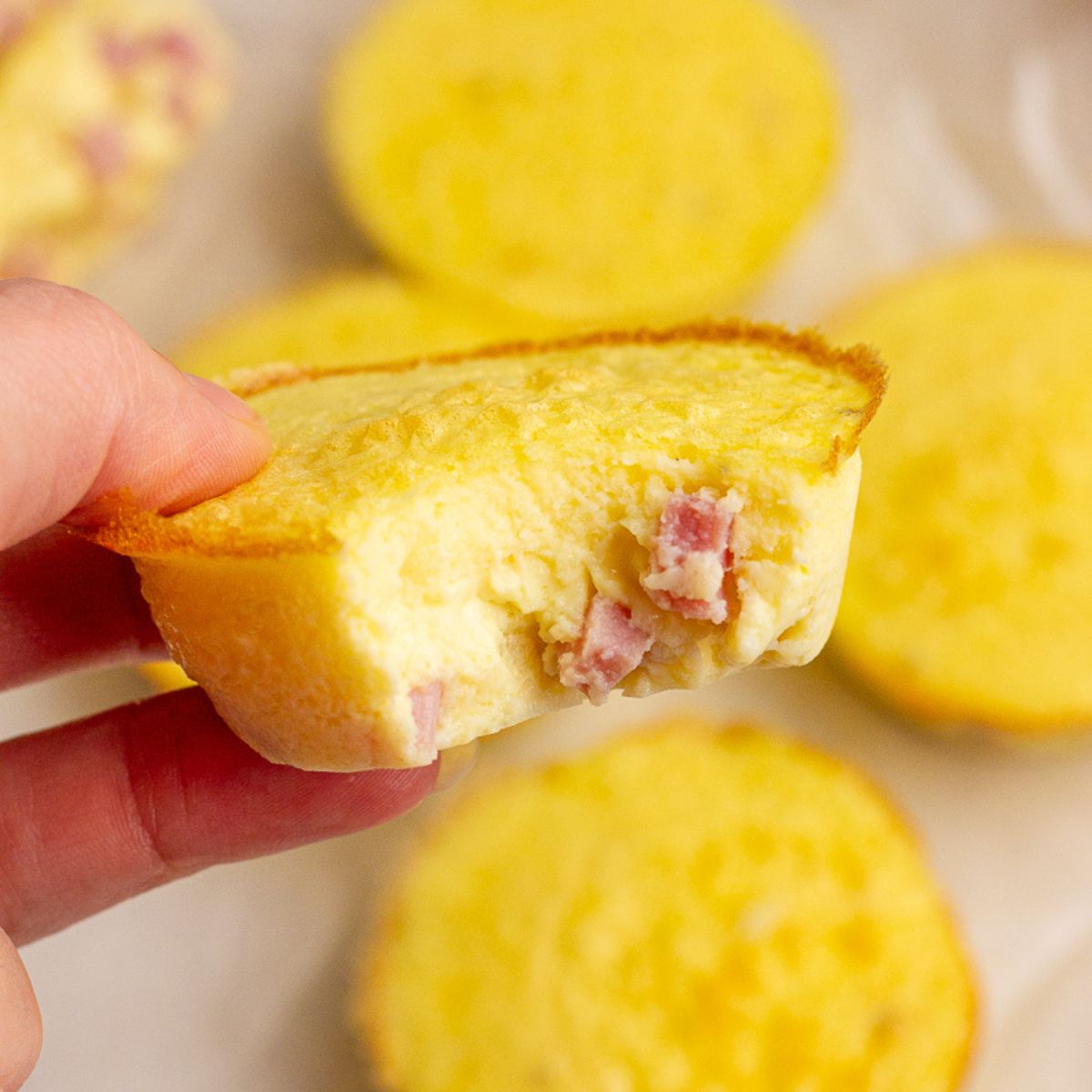 Ham and Cheese Egg Bites
