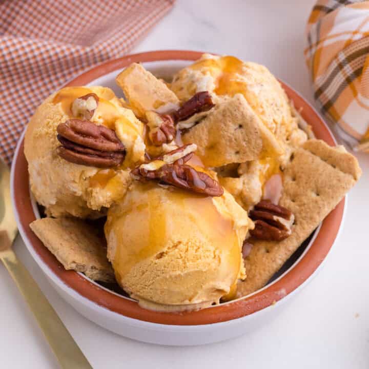 Ninja Pumpkin Spice Ice Cream