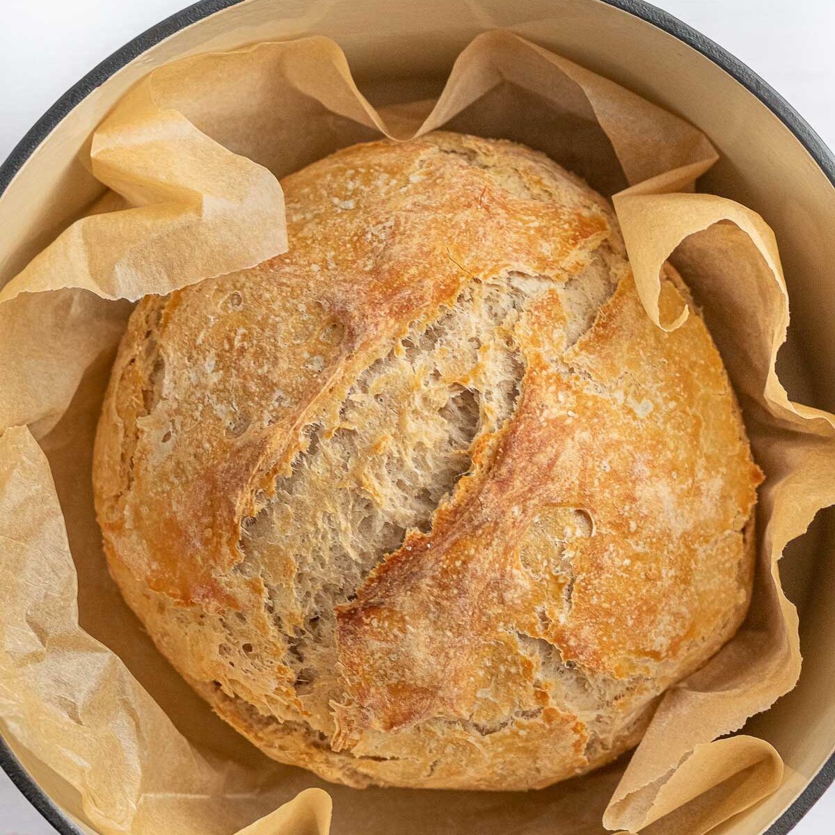 Quick Sourdough Bread
