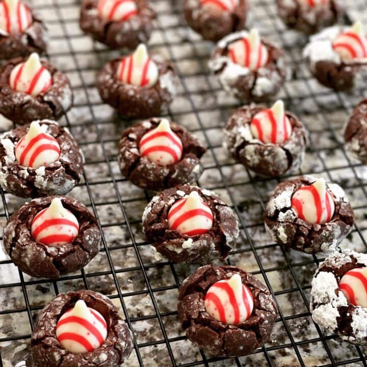 Chocolate Candy Cane Blossoms