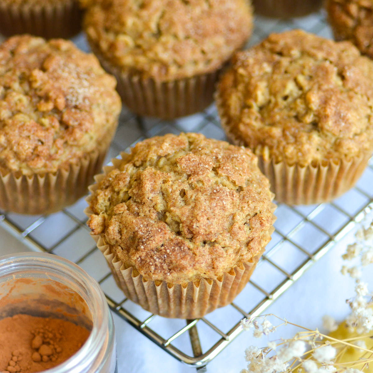 Oatmeal Applesauce Muffins