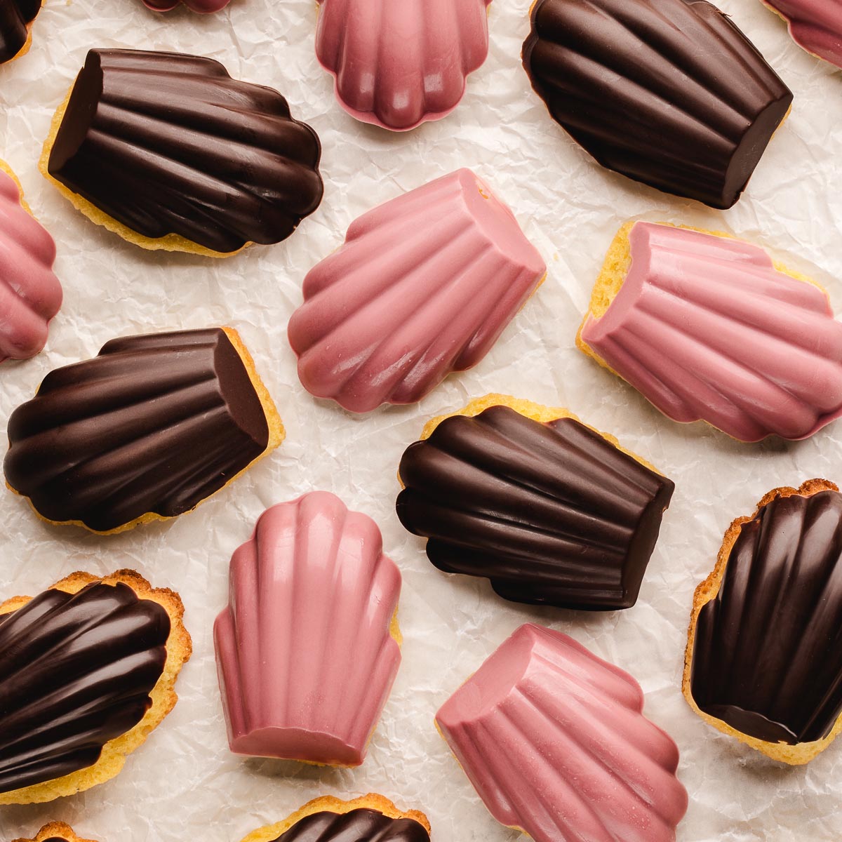 Chocolate Dipped Madeleines